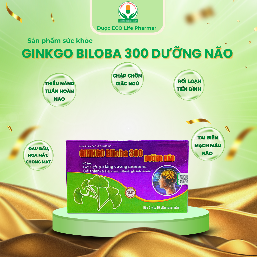 Ginkgo Biloba 300 Dưỡng não