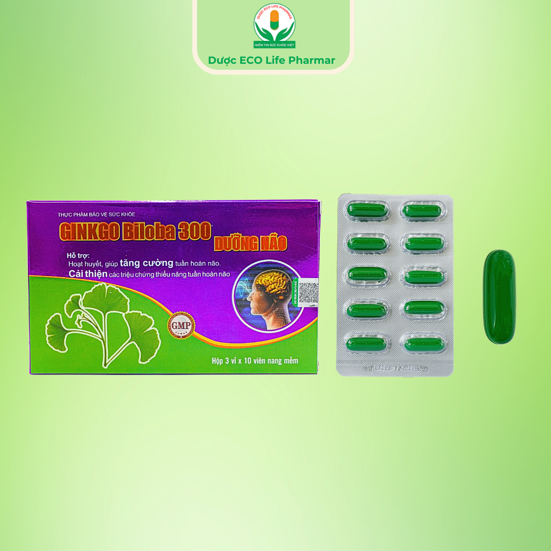 Ginkgo Biloba 300 Dưỡng não