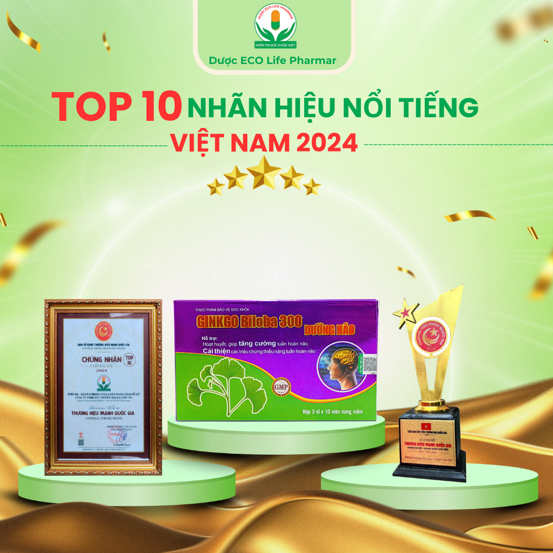 Ginkgo Biloba 300 Dưỡng não