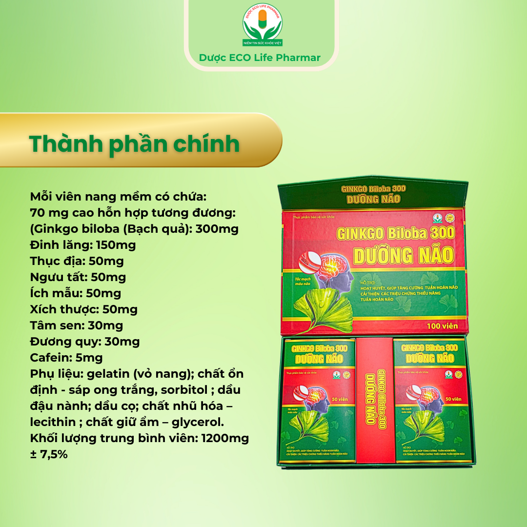 Ginko Biloha 300 Dưỡng não