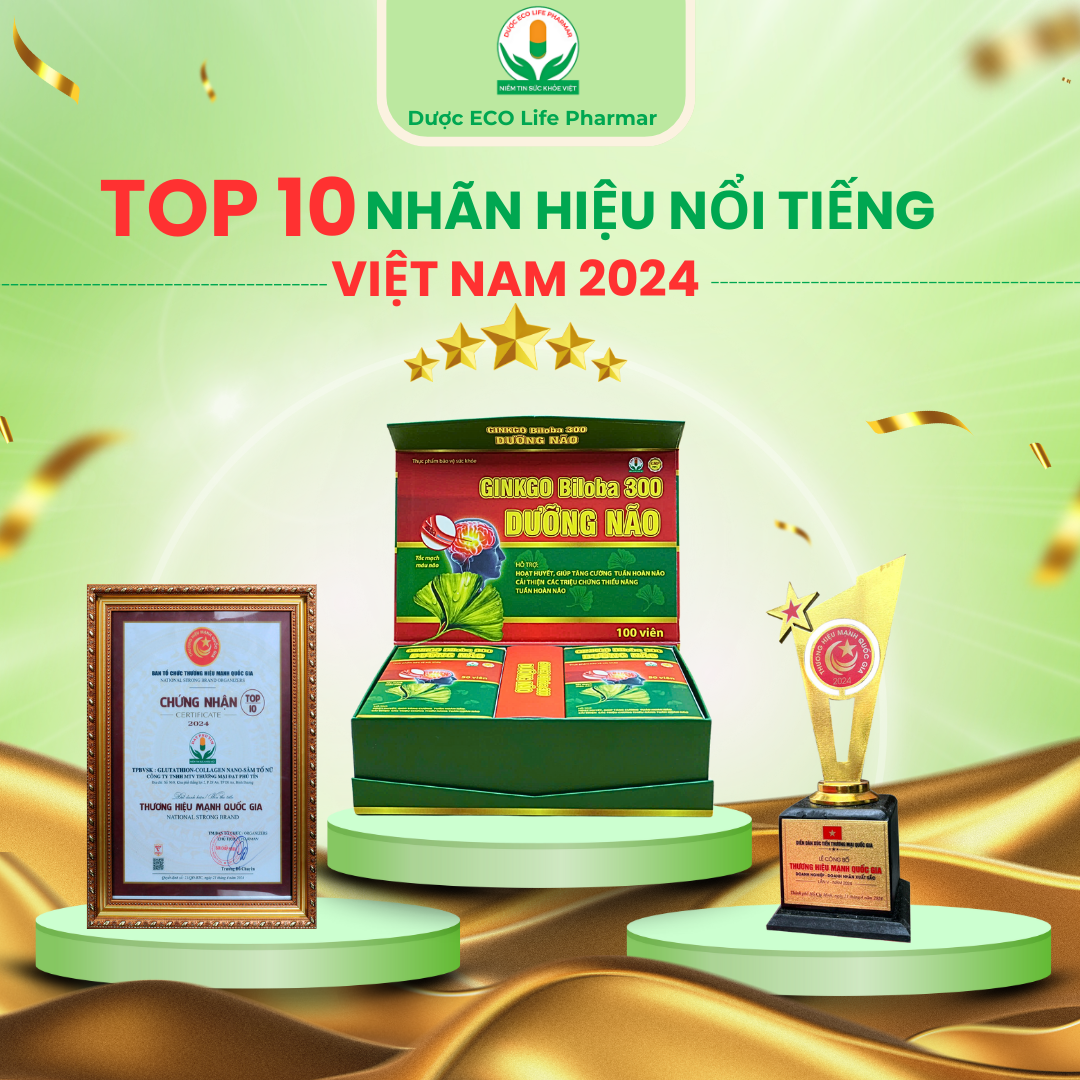 Ginko Biloha 300 Dưỡng não