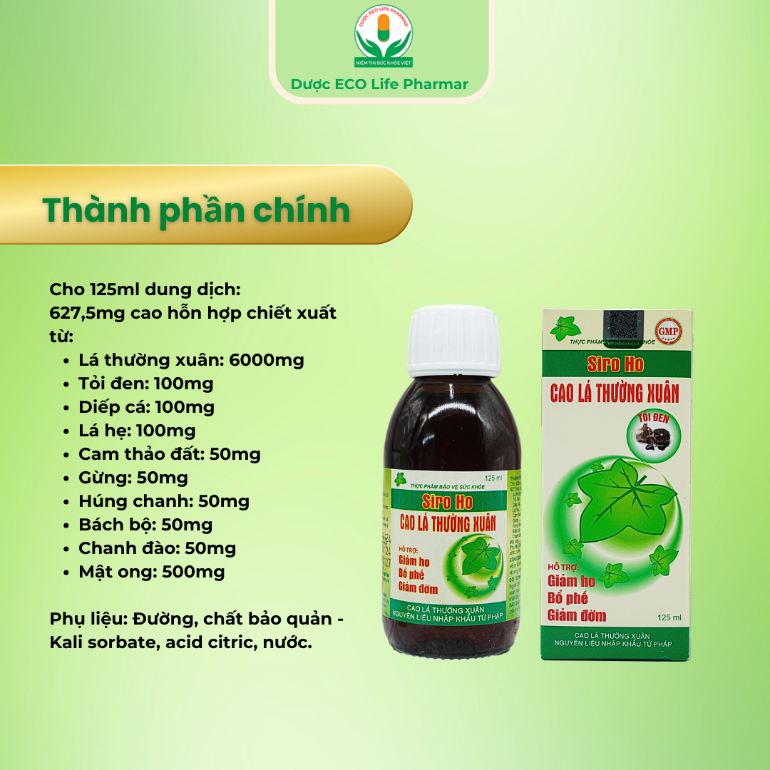 Siro ho cao lá thường xuân chai