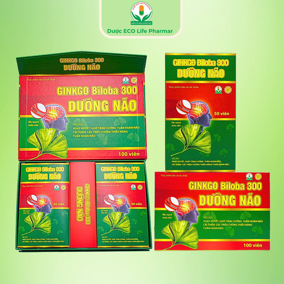 Ginko Biloha 300 Dưỡng não