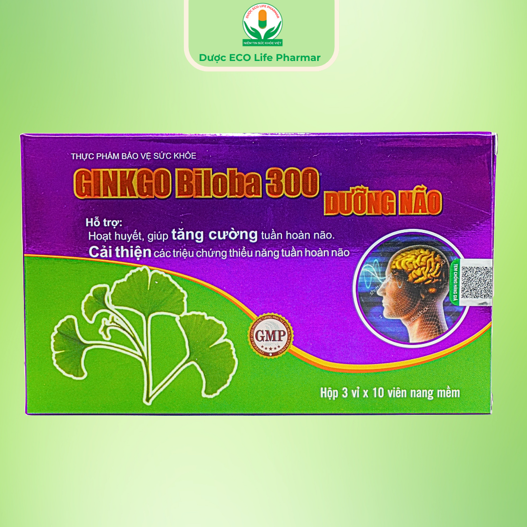 Ginkgo Biloba 300 Dưỡng não