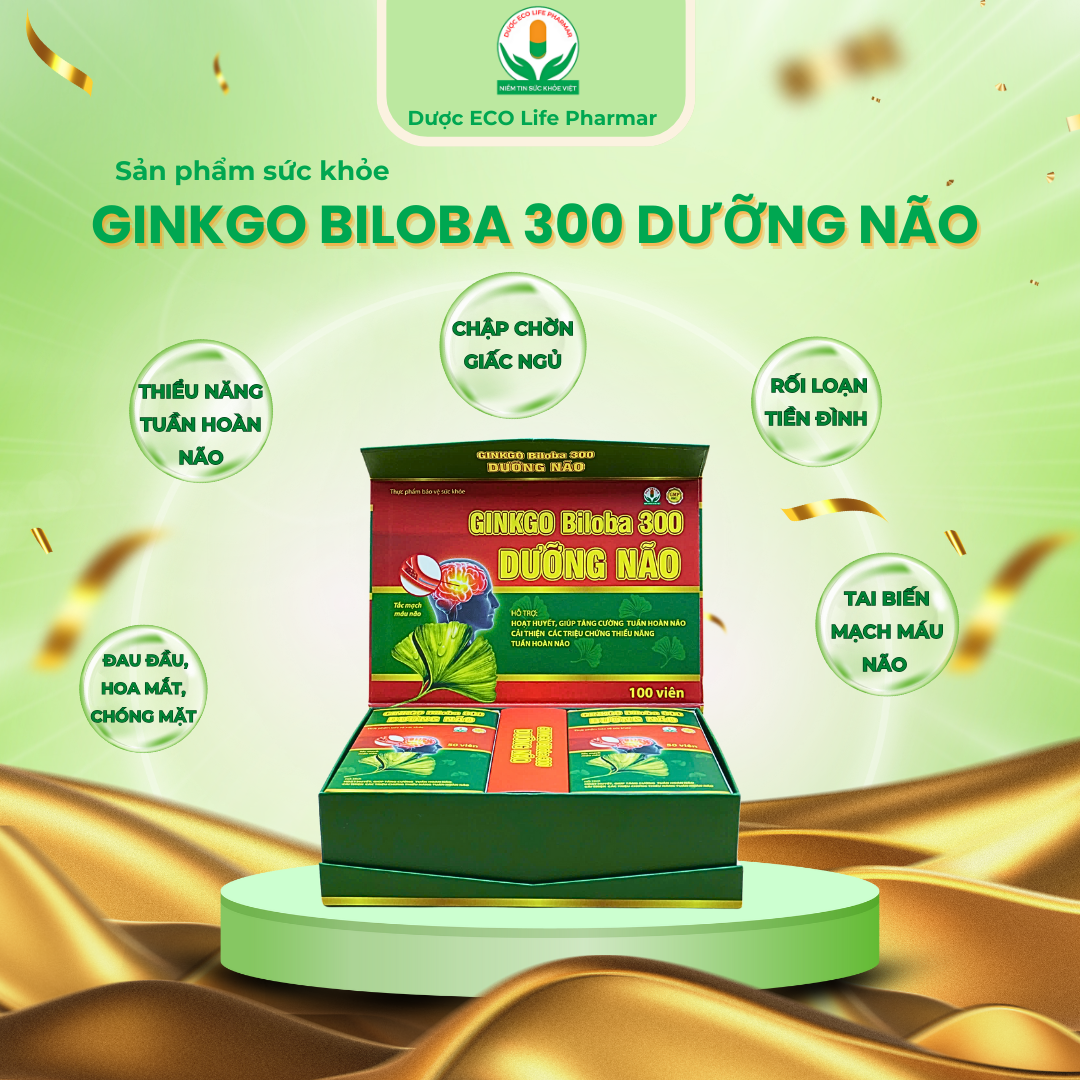 Ginko Biloha 300 Dưỡng não