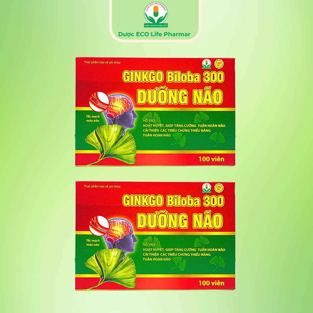 Ginko Biloha 300 Dưỡng não