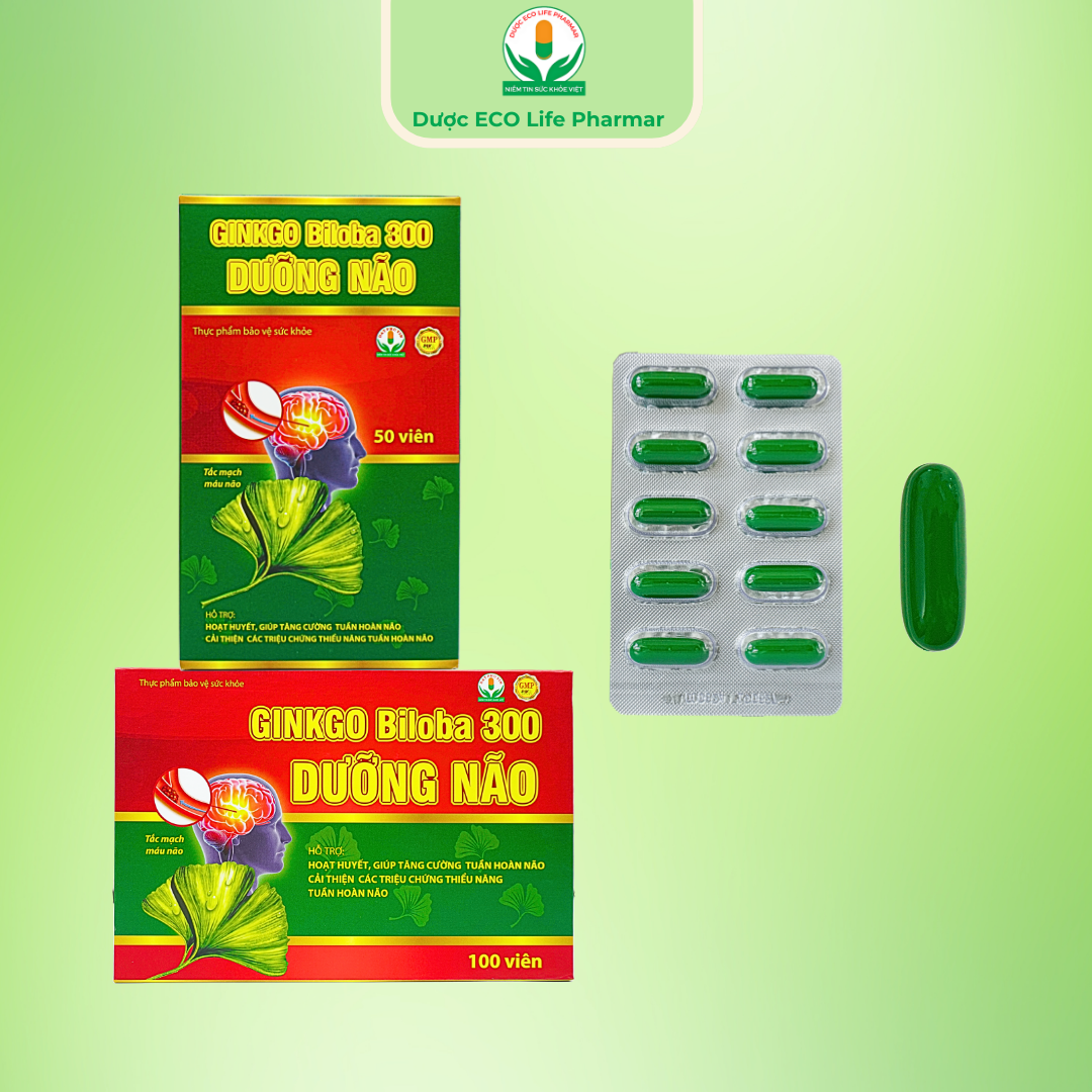 Ginko Biloha 300 Dưỡng não