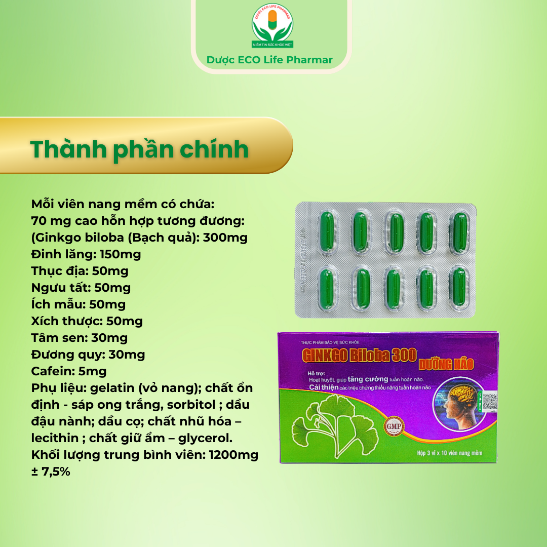 Ginkgo Biloba 300 Dưỡng não